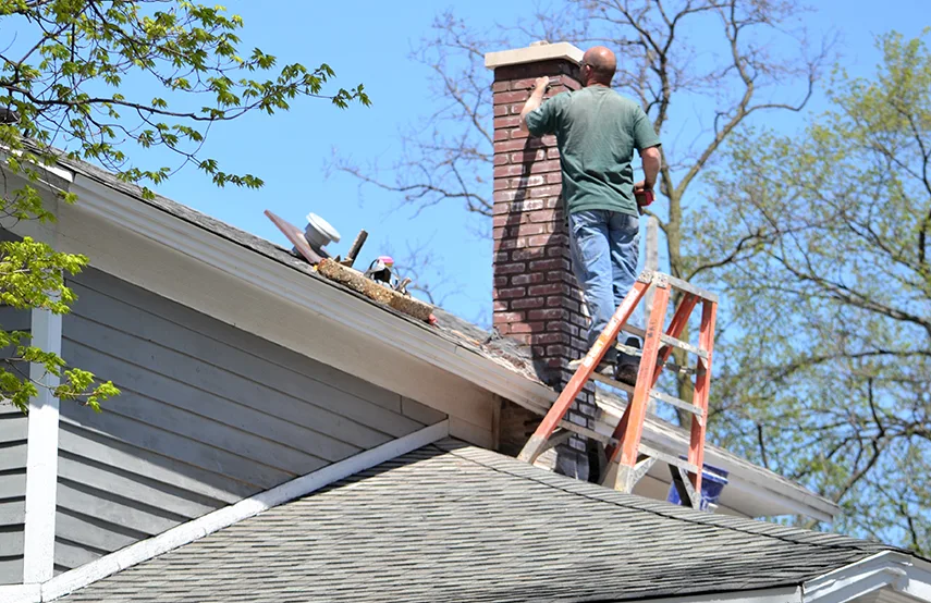 Chimney & Fireplace Inspections Services in South St. Paul, MN